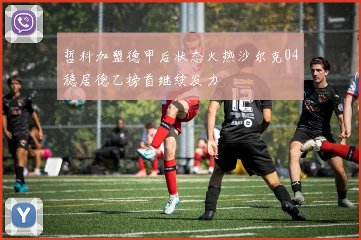 哲科加盟德甲后状态火热沙尔克04稳居德乙榜首继续发力