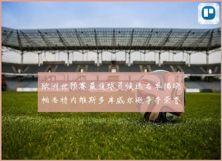 欧洲世预赛最佳球员候选名单揭晓帕洛特内维斯多库威尔逊争夺荣誉