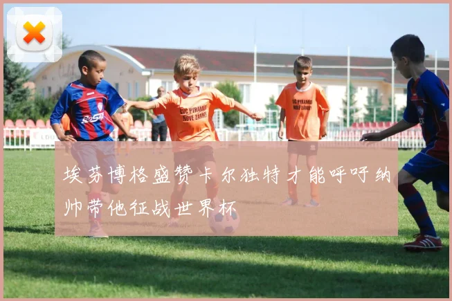 埃芬博格盛赞卡尔独特才能呼吁纳帅带他征战世界杯