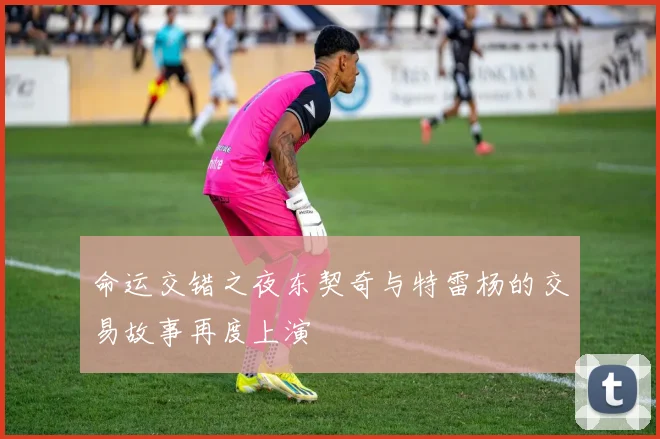 命运交错之夜东契奇与特雷杨的交易故事再度上演