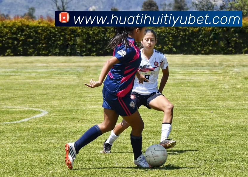 华体会体育APP 封面图