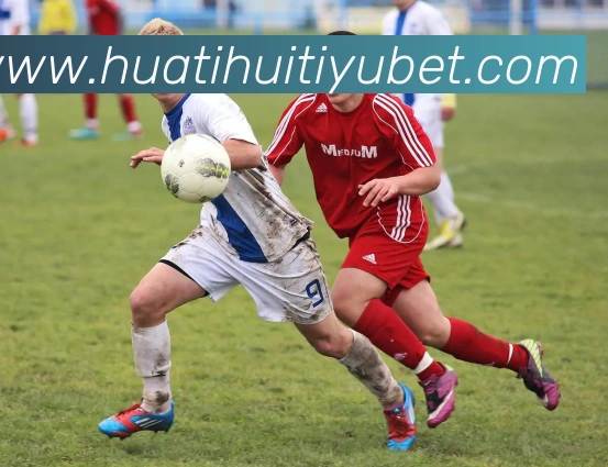 数据防护可视化